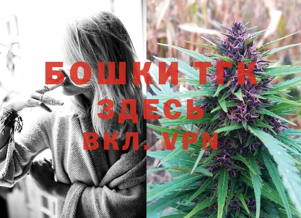 дживик Горняк