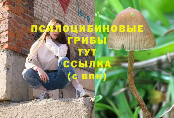 дживик Горняк