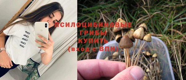 ешки Михайловск
