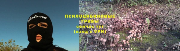 2c-b Майский