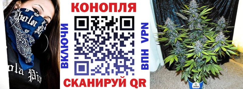 Каннабис SATIVA & INDICA Зеленогорск